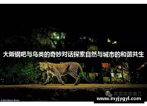 大阪钢吧与鸟类的奇妙对话探索自然与城市的和谐共生
